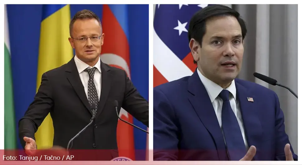 sijarto rubio.webp